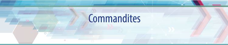 Commandites FORUM 2023
